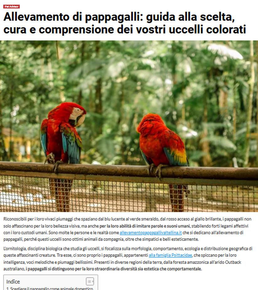 Perché il pappagallo insegna il rispetto e la sensibilità: un animale unico